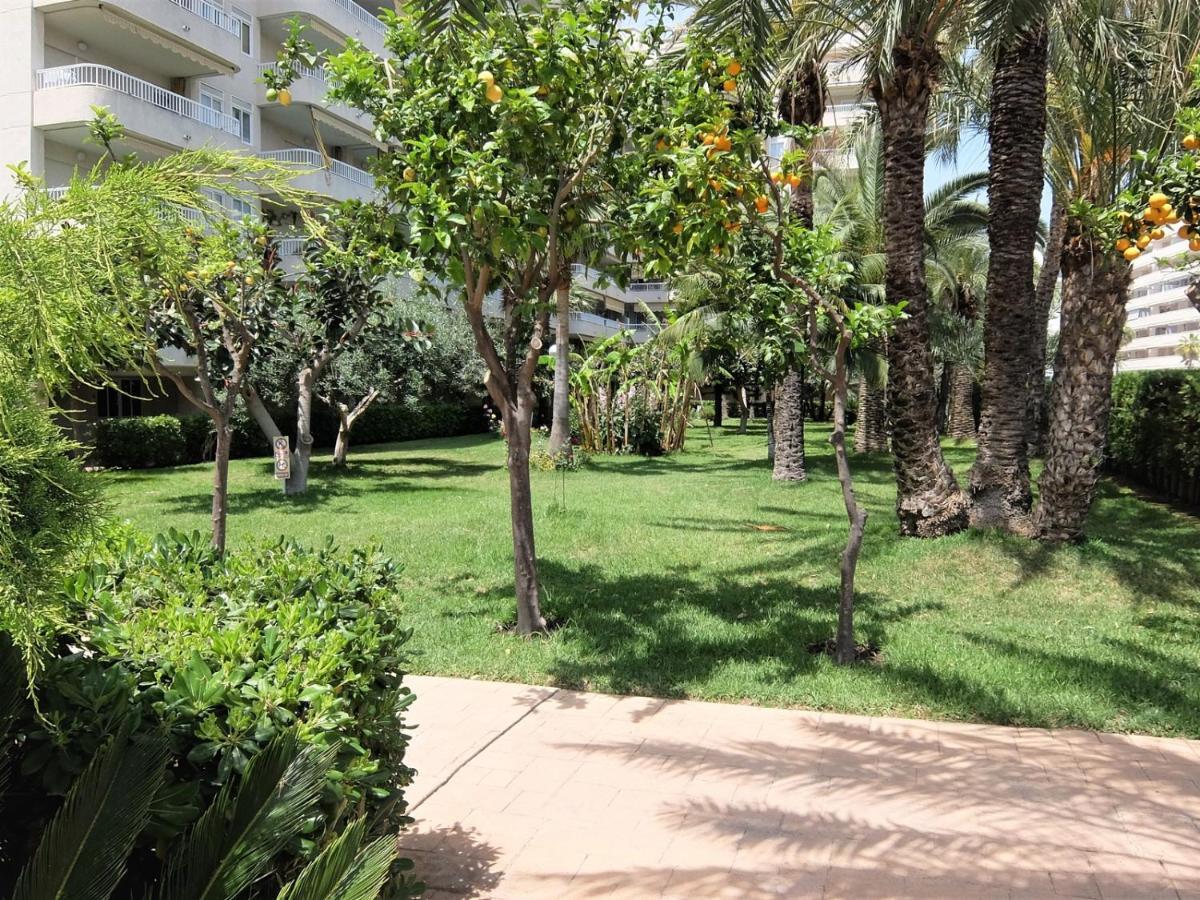 Apartament Parque Mota - Alquiler Solo A Familias Playa de Gandia Zewnętrze zdjęcie
